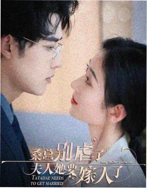 第十三层剧集封面