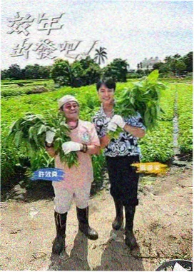 沉默的合唱团综艺封面